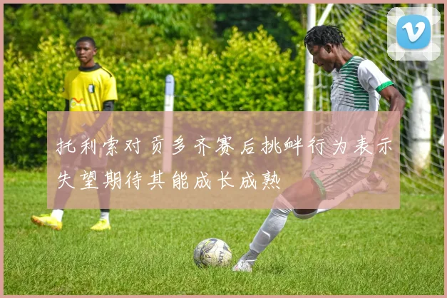托利索对贡多齐赛后挑衅行为表示失望期待其能成长成熟